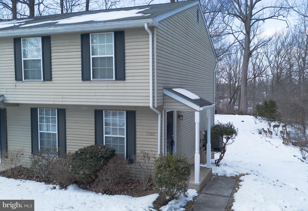 Photo of 7333 Better Hours Court, COLUMBIA, MD 21045 (MLS # MDHW2064538)