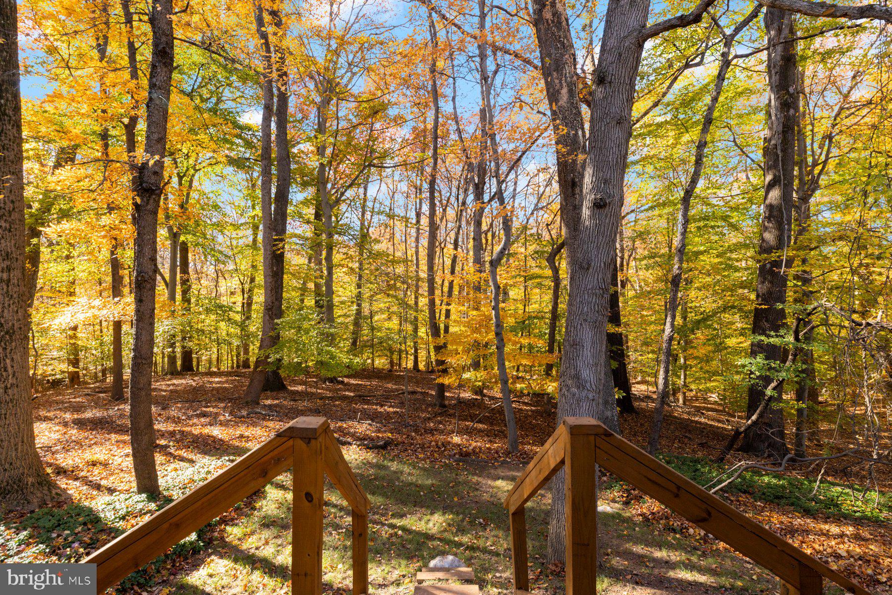 WELLINGTON VALLEY - Residential