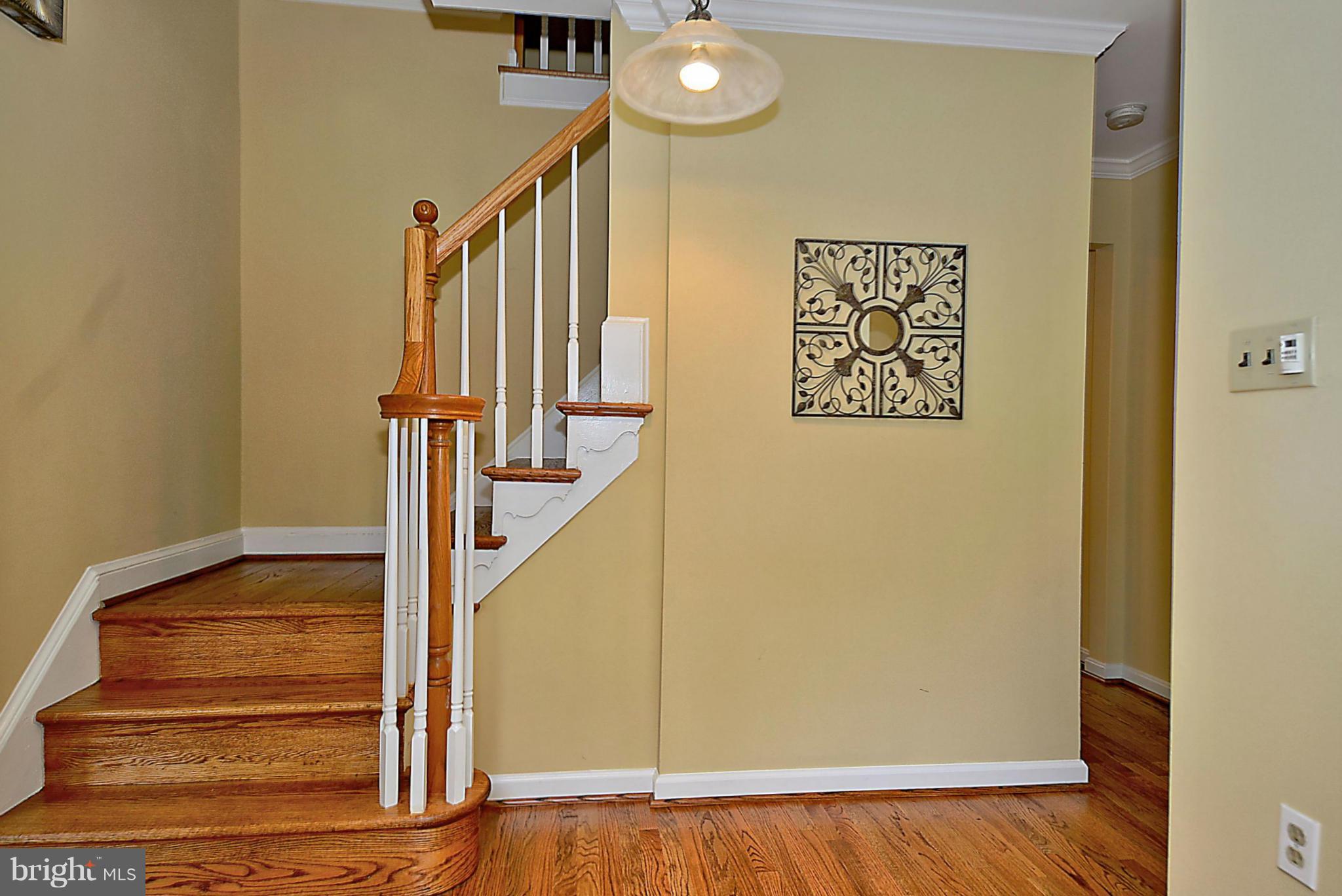 FOREST GLEN PARK - Residential