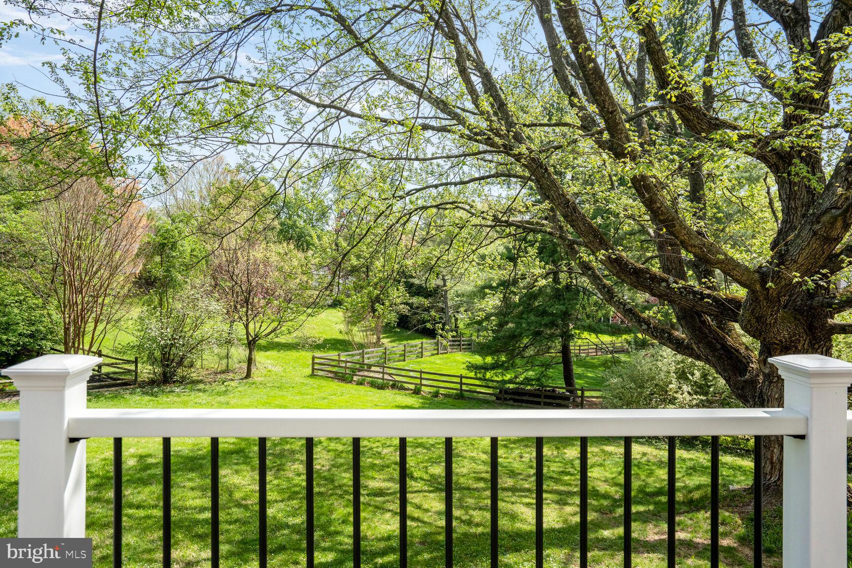 POTOMAC CHASE - Residential