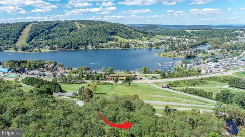 Vacant Land For Sale - LOTS 2 AND 3 Fairgate Road<br/> MC HENRY, MD 21541