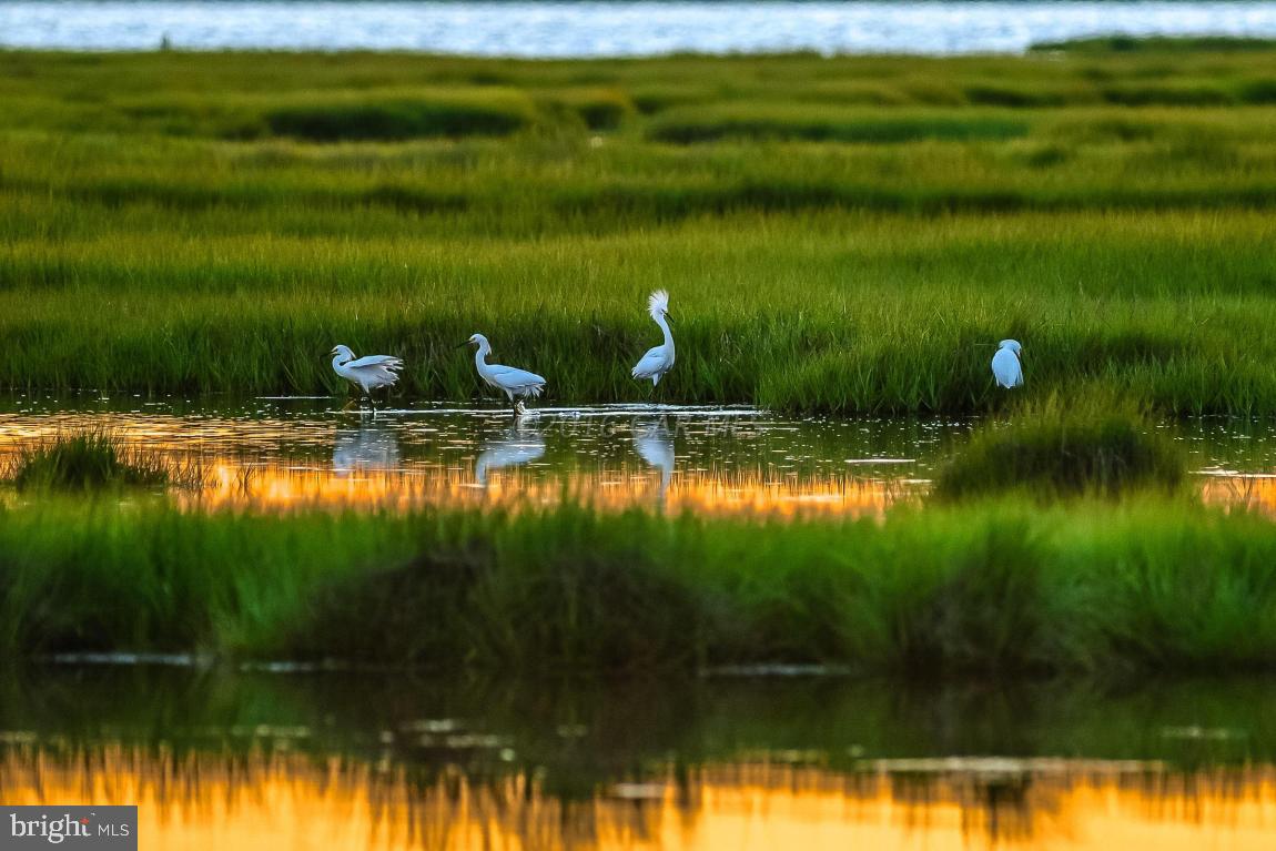 INDIAN CREEK - Residential
