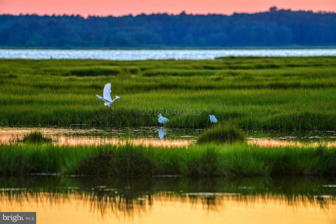 INDIAN CREEK - Residential