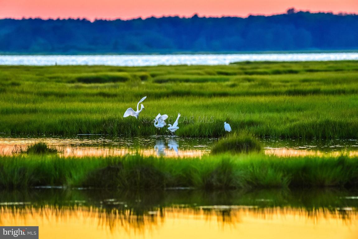 INDIAN CREEK - Residential