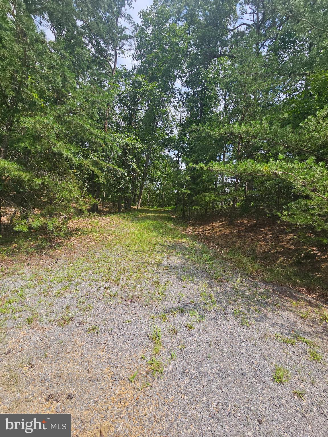PINE WAY ROAD
