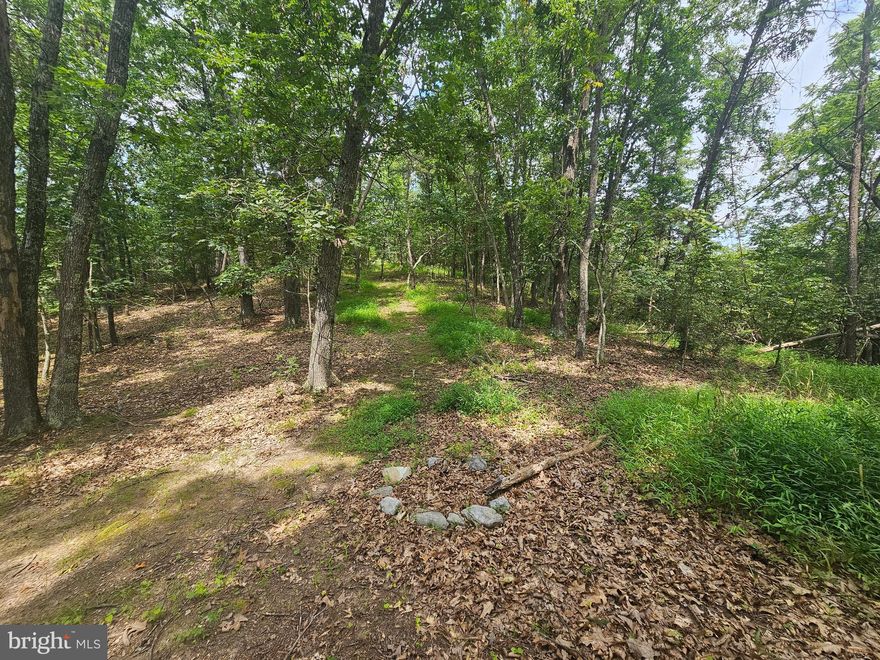 Escape to nature on this 5.12 Acre parcel only 5 minutes from Romney, W.V. Gently rolling to flat topography. Perfect for building your new Mountain "weekend getaway or retirement home". Enjoy the wildlife on your porch while taking in the scenic surroundings. Well maintained gravel access roads. Tons of road frontage. Only $35,900!