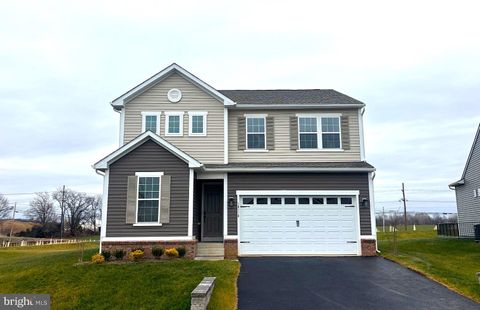 10110 WILKES DRIVE WILLIAMSPORT MD 21795