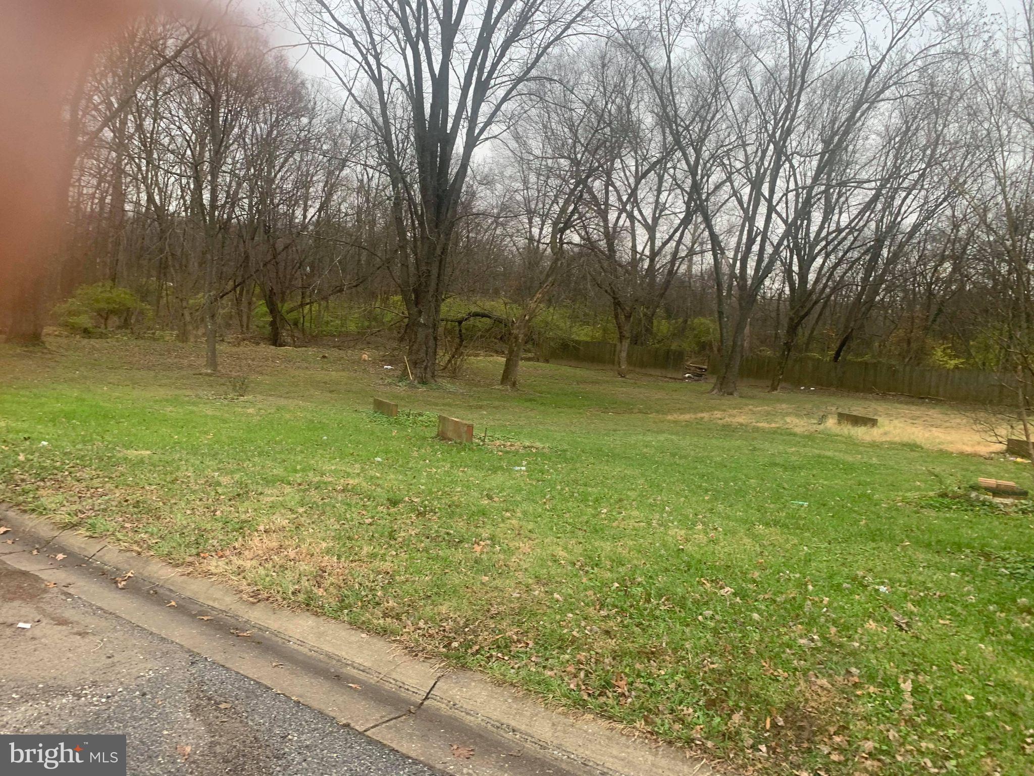 HYNESBORO PARK - Land