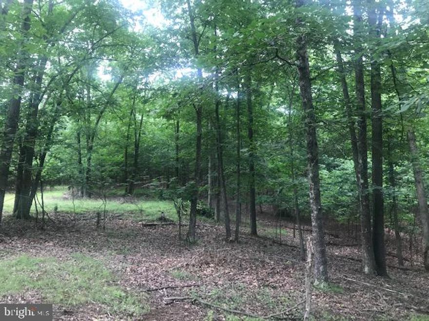 5+ Acres in Ashton Forrest Subdivision.  Get away from the hustle and bustle and enjoy nature at its best! This beautiful wooded lot is near Back Creek Valley and Sleepy Creek Wildlife Area. Build the house of your dreams or a weekend getaway.  Horses are permitted. Approximately 10 min from I-81 and shopping.  Perc test completed and driveway is already in place. Don't miss out on this property! Priced to Sell!Please view property video