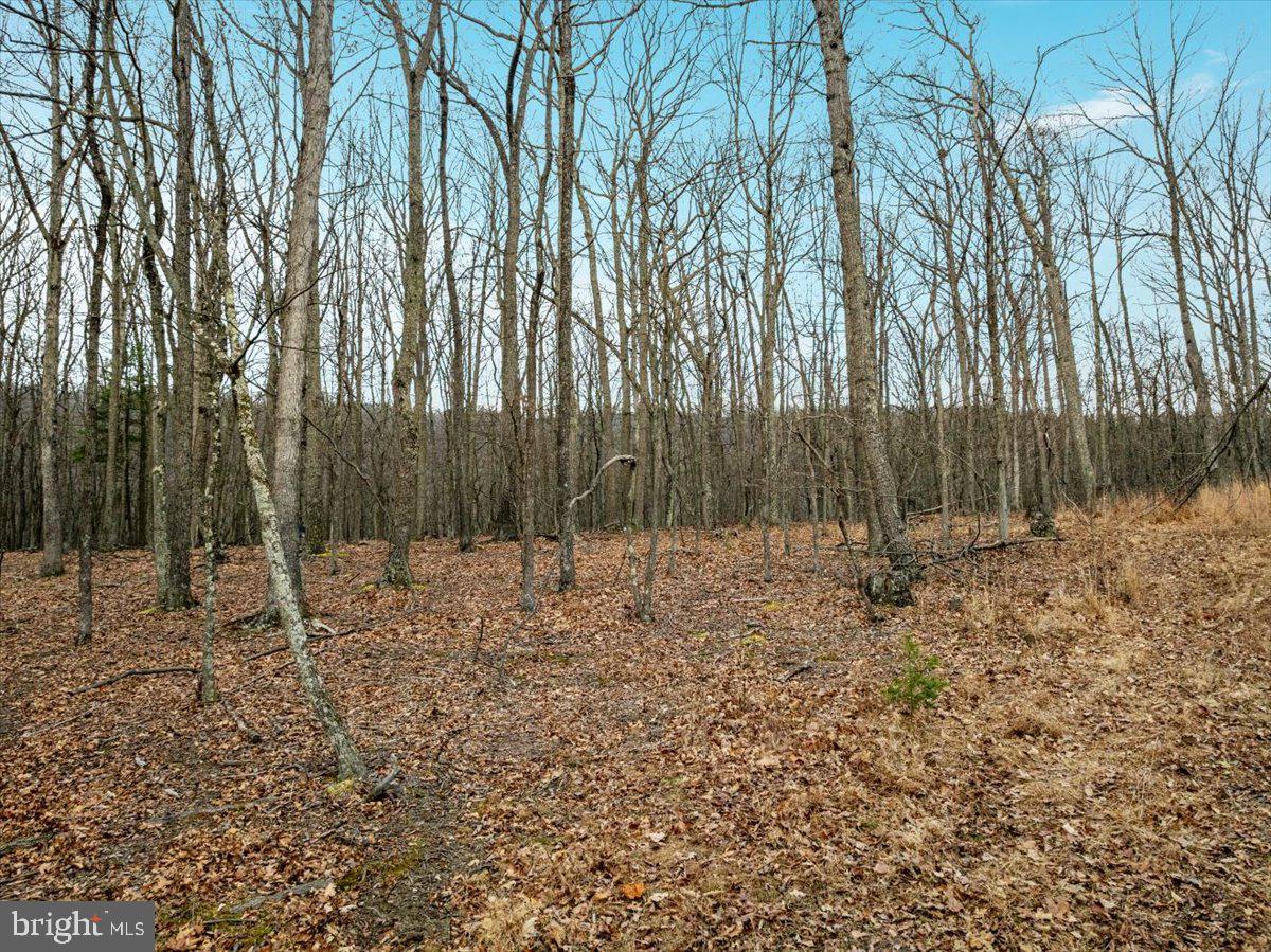 WHISPERING PINES - Land