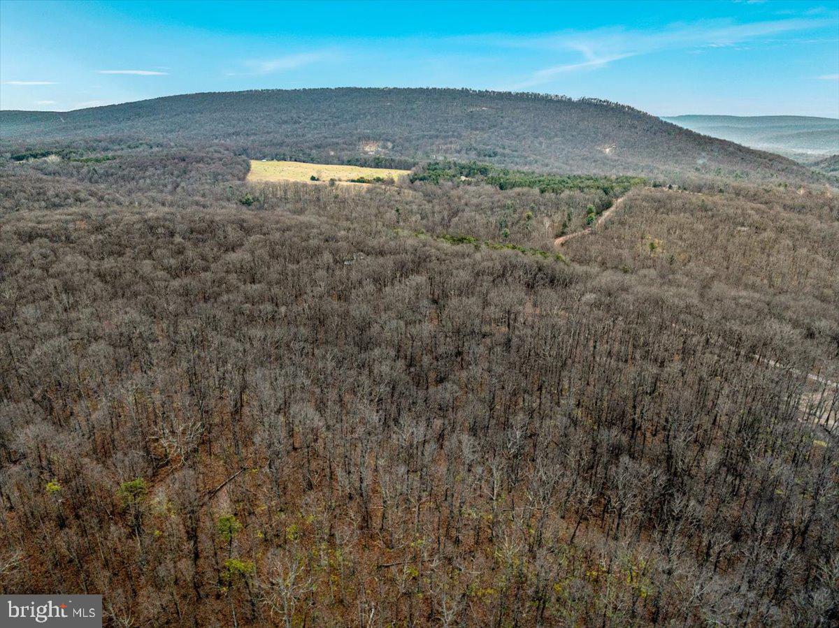 WHISPERING PINES - Land