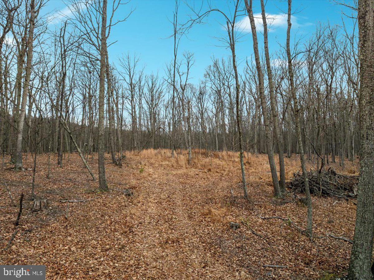 WHISPERING PINES - Land