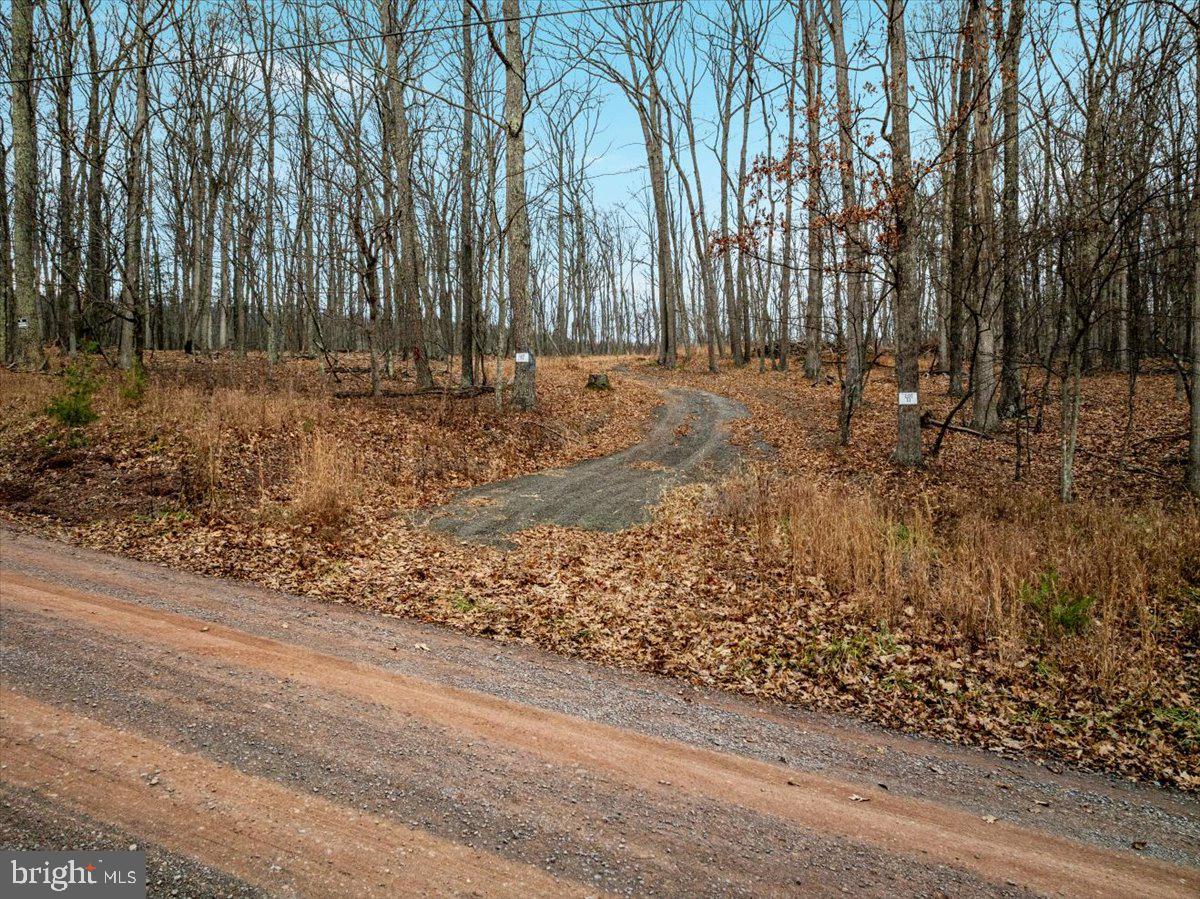 WHISPERING PINES - Land