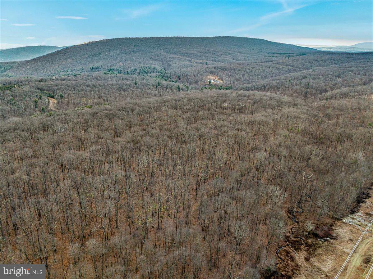 WHISPERING PINES - Land