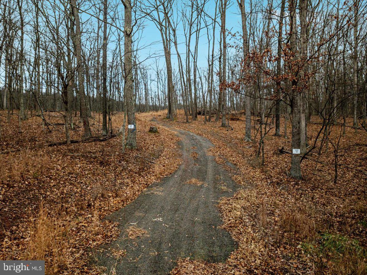 WHISPERING PINES - Land