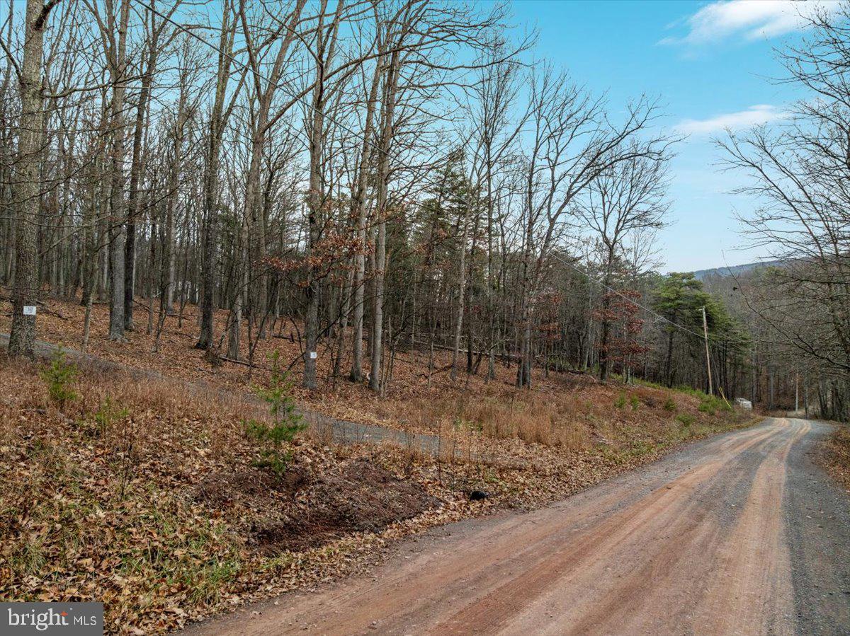 WHISPERING PINES - Land