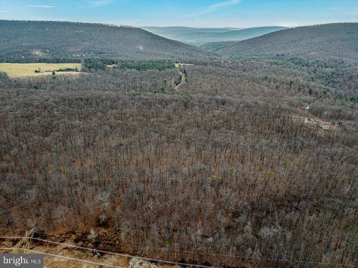 WHISPERING PINES - Land