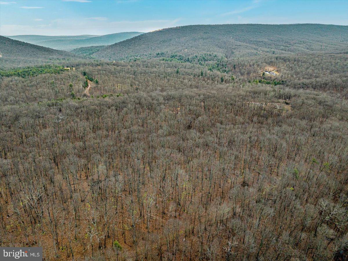 WHISPERING PINES - Land