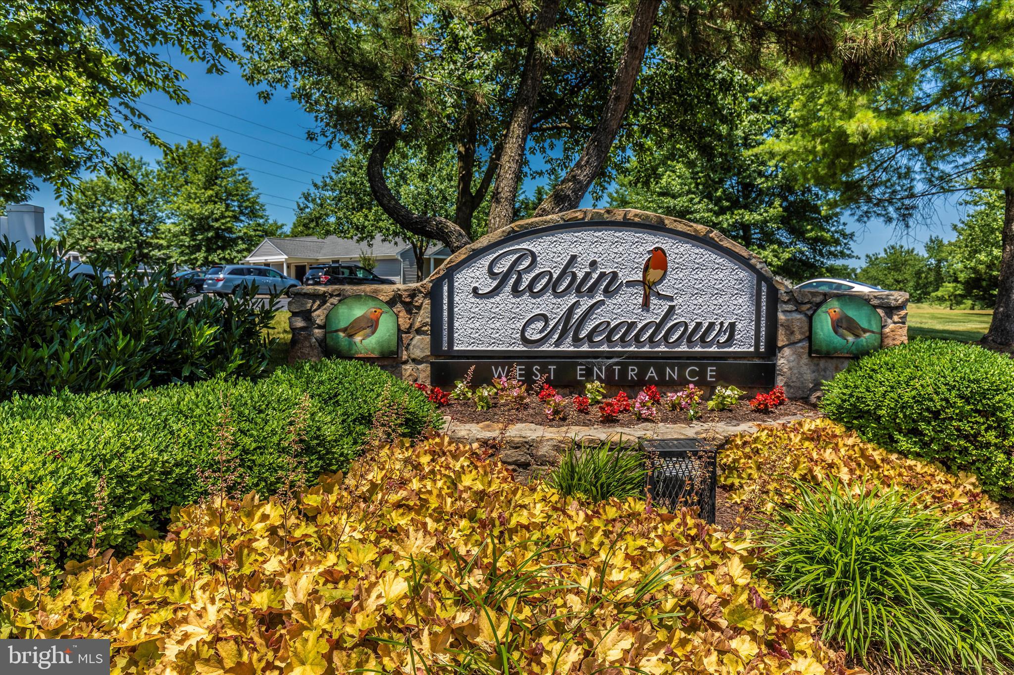 ROBIN MEADOWS - Residential