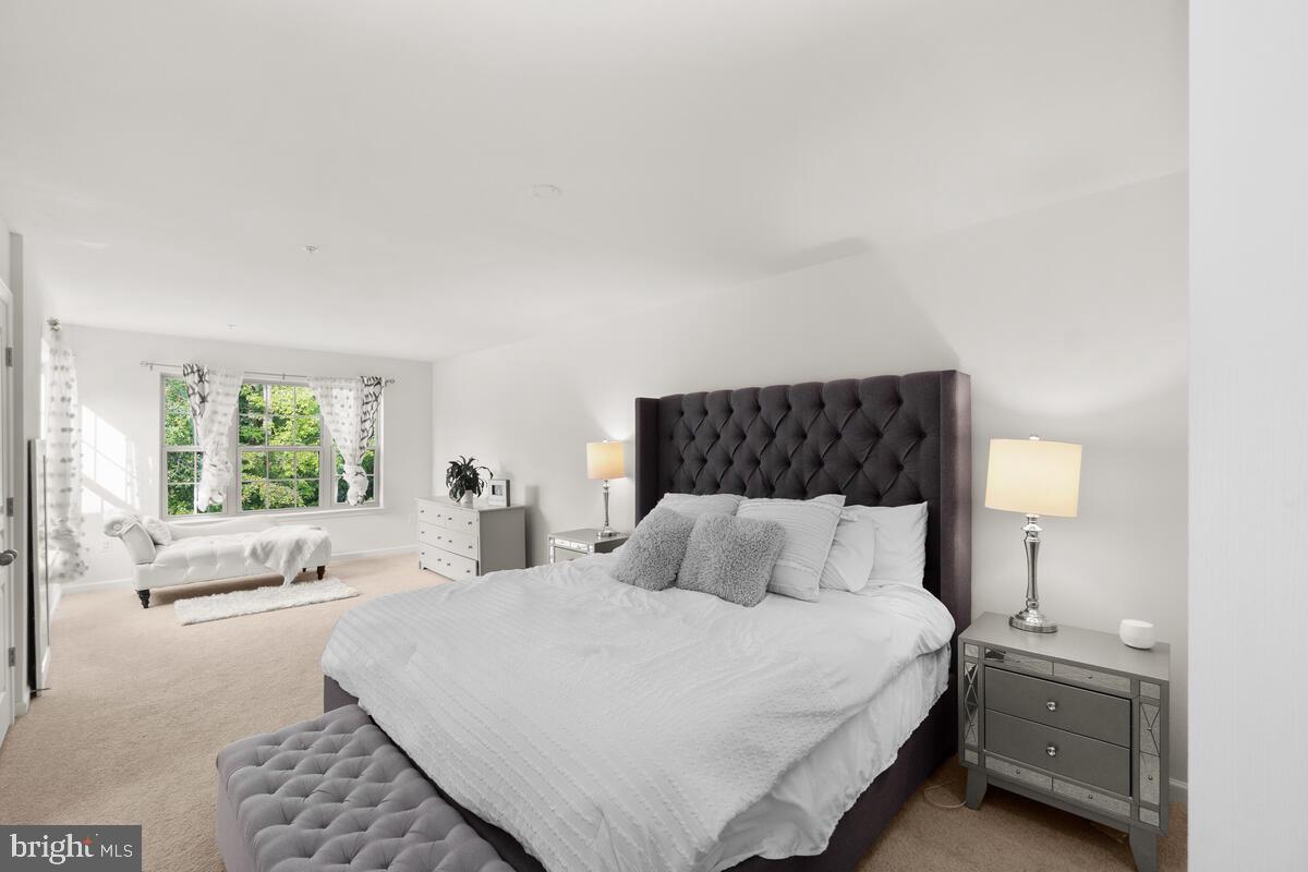 NORTH SHORE FOREST - Residential