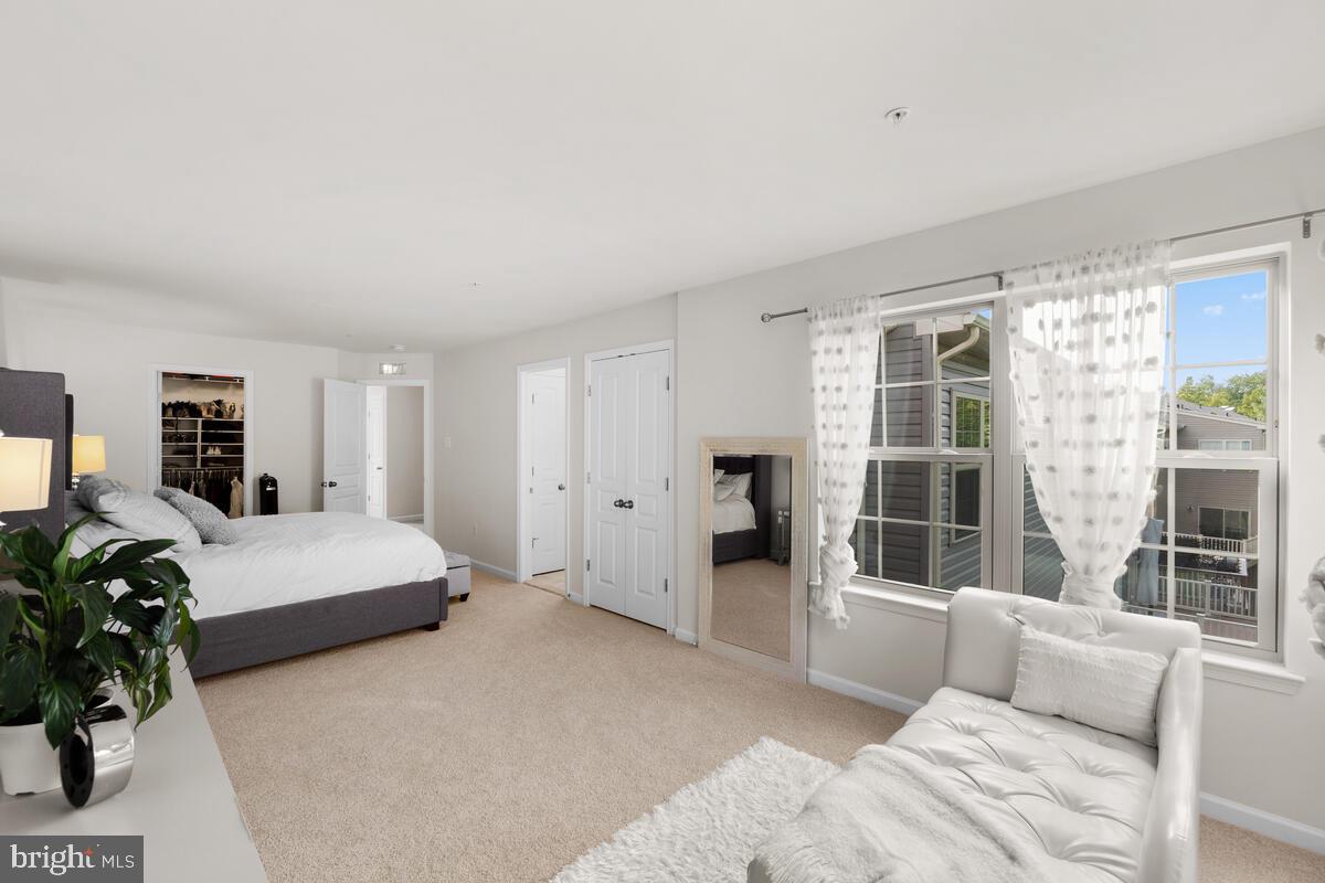 NORTH SHORE FOREST - Residential