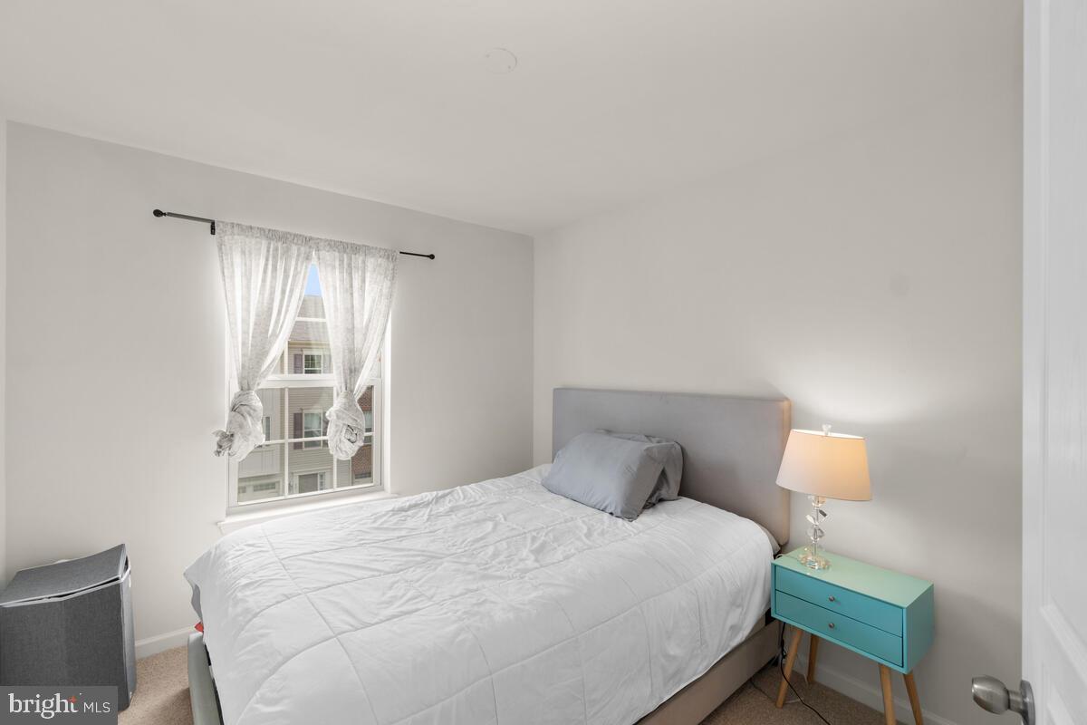 NORTH SHORE FOREST - Residential