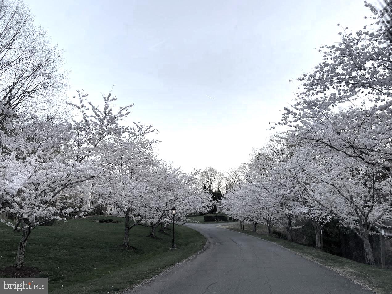 BRADLEY FARMS - Residential