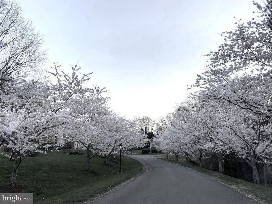 Welcome to luxury living at its finest! Nestled in the prestigious Potomac neighborhood, this magnificent residence presents a rare opportunity to own an exceptional property. Situated on an expansive 2-acre lot, this mansion boasts a lifestyle of opulence and sophistication. As you arrive, the grandeur of the gated driveway, equipped with a secure code entry, sets the tone for the exclusivity that awaits within. This meticulously designed home offers not only privacy and security but a plethora of amenities that cater to the most discerning tastes. Inside, the home has 10'+ ceilings throughout, creating a spacious and airy ambiance. Meticulous craftsmanship and attention to detail are evident in every corner, from the marble floors and intricate crown molding to the incredible woodwork and built-ins. The main floor features a chef's kitchen equipped with top-of-the-line gas appliances and ample counter space, complete with a butler's pantry. The second floor features 5 bedrooms: a spacious primary with his-and-hers sinks, 4 bedrooms with en-suite bathrooms, and an additional space with floor-to-ceiling mirrors that can be repurposed as an exercise room. The finished walk-out lower level adds an extra dimension to the living space, featuring a large bedroom with an en-suite bathroom and private entrance, secondary fridge and freezer, bar area perfect for entertaining, and projector. The exterior boasts a meticulously maintained tennis court for friendly matches, a grilling area, and inviting heated pool and hot tub, creating a haven for entertainment and recreation. For added convenience and accessibility, an elevator services each level of the home, ensuring that every aspect of daily life is made effortless. In the backyard, two separate pool/guest houses provide additional space for entertaining. One guesthouse features a full kitchen and full bathroom, perfect for hosting guests or accommodating extended family members. The second pool house features a dry sauna and full bathroom. Additional features include an elaborate security system with extensive cameras, 3-car attached garage, Aladdin chandelier light lift, automated curtains in select rooms, a gas-powered electric backup generator, cedar closet in the master suite, and surround sound system in the family room and basement area. Roof is 10 years old. Don't miss out on this one-of-a-kind opportunity!