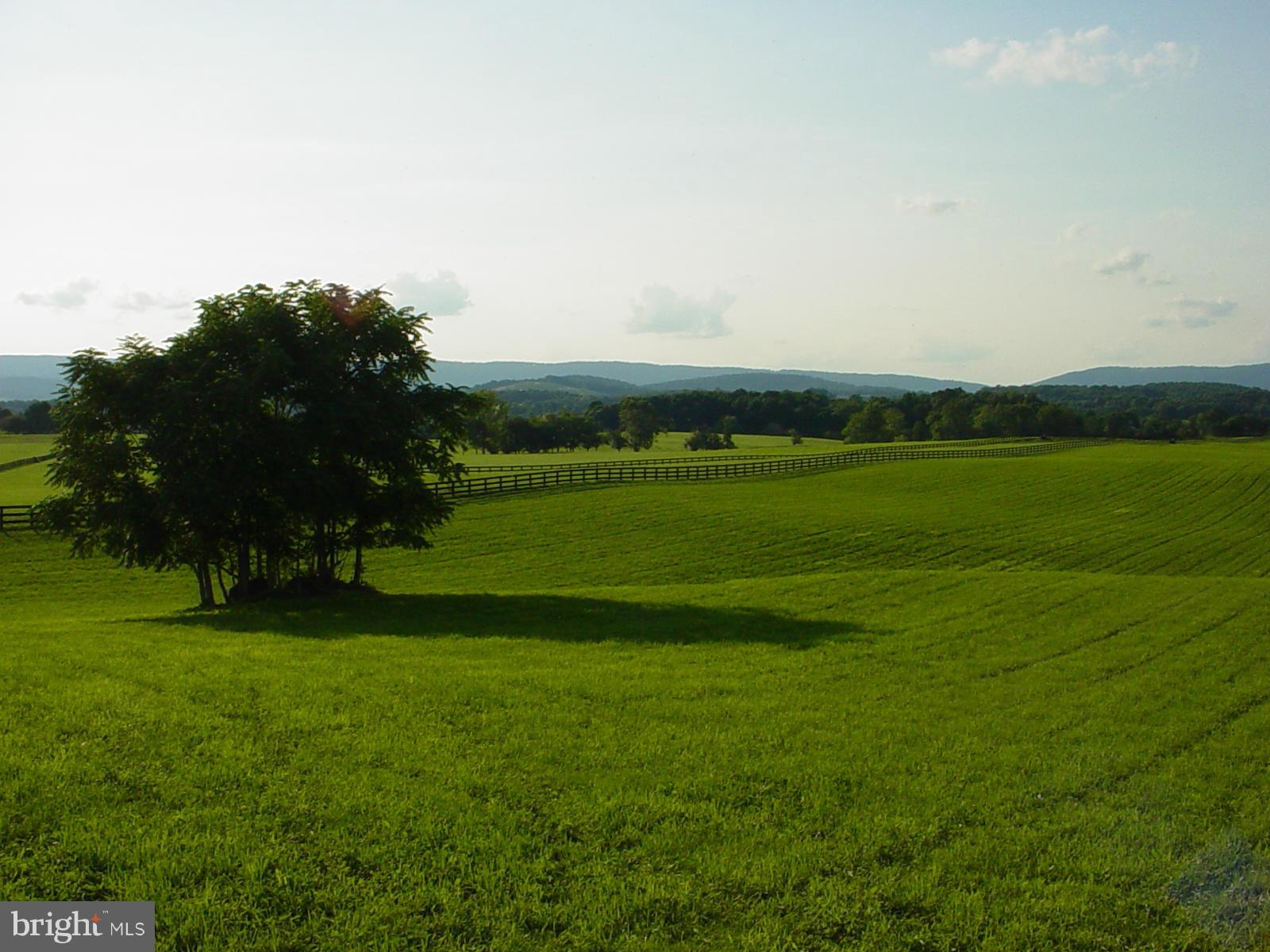CHATTINS RUN FARM - Land