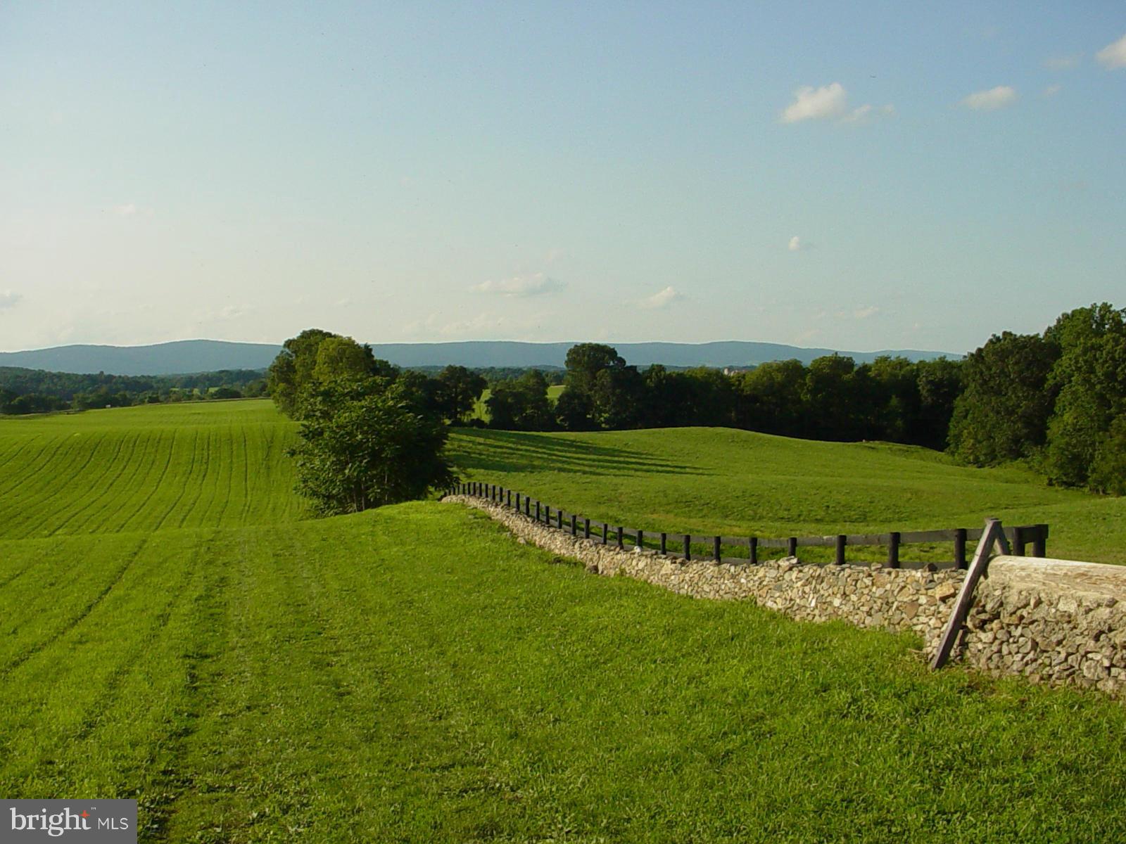 CHATTINS RUN FARM - Land