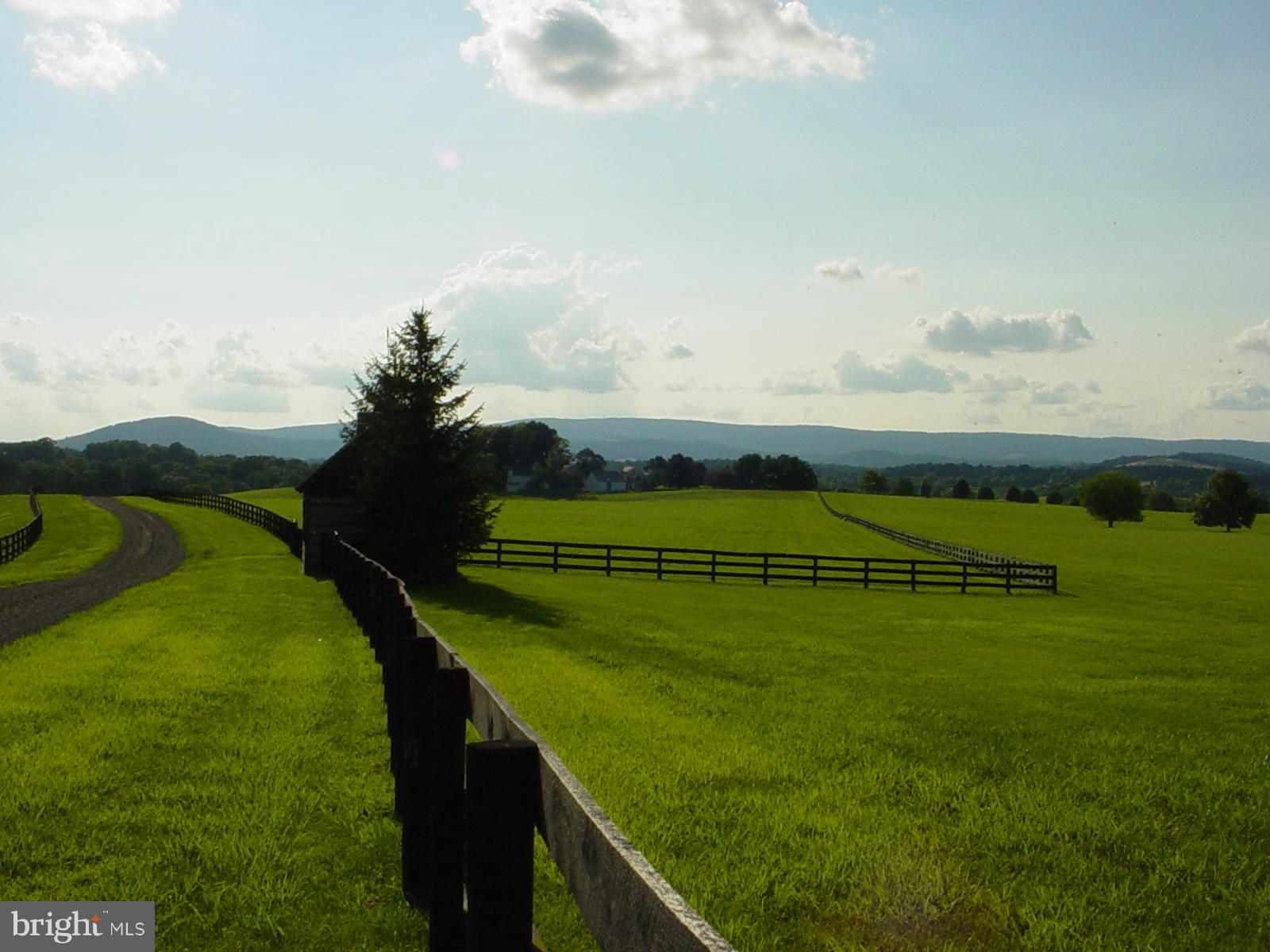 CHATTINS RUN FARM - Land
