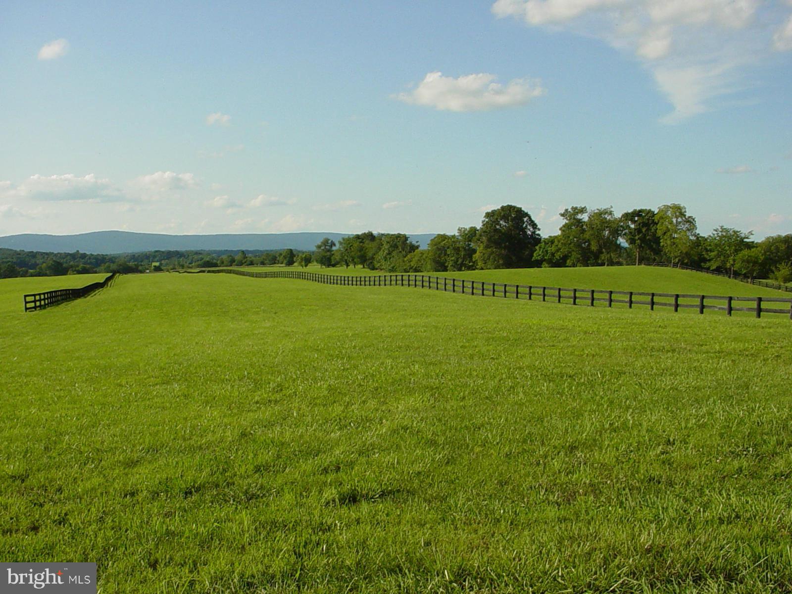 CHATTINS RUN FARM - Land