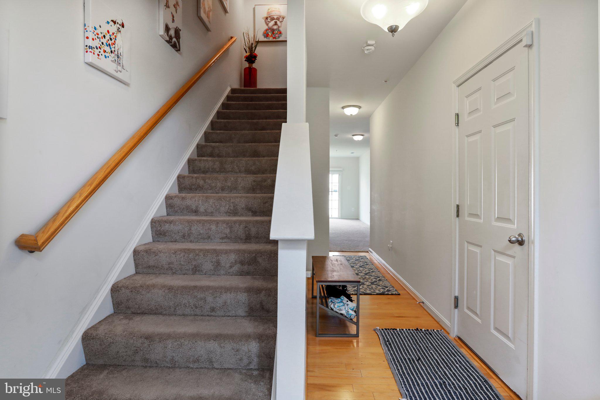 COLLEGIATE ACRES - Residential