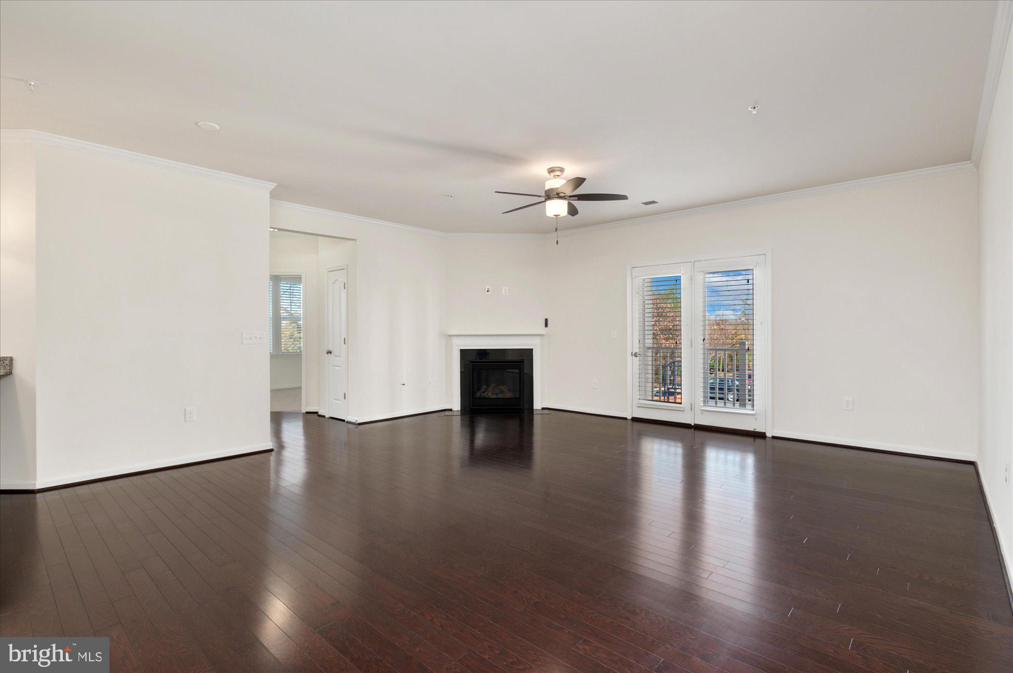 24637 WOOLLY MAMMOTH TERRACE 206