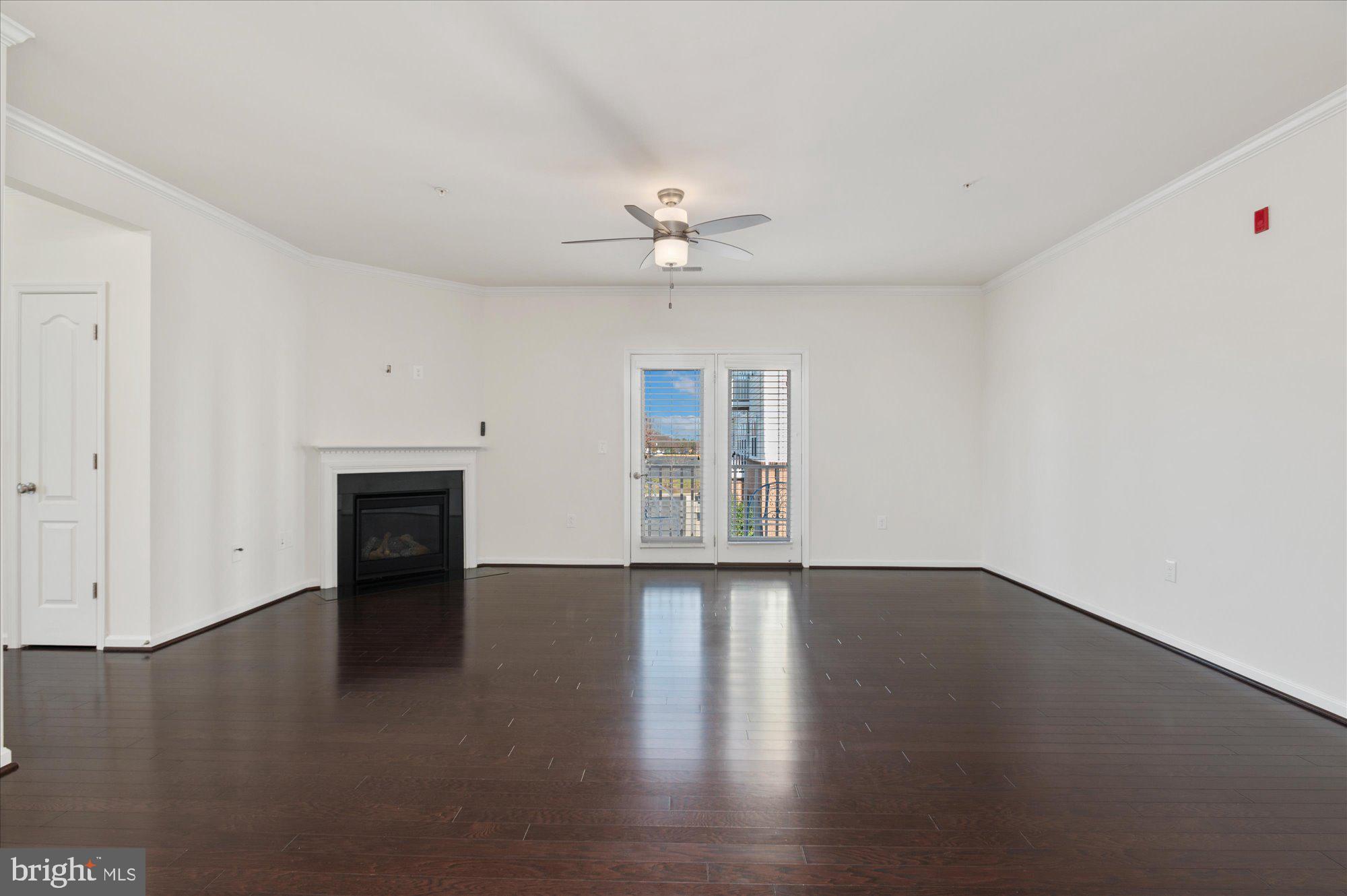 24637 WOOLLY MAMMOTH TERRACE 206