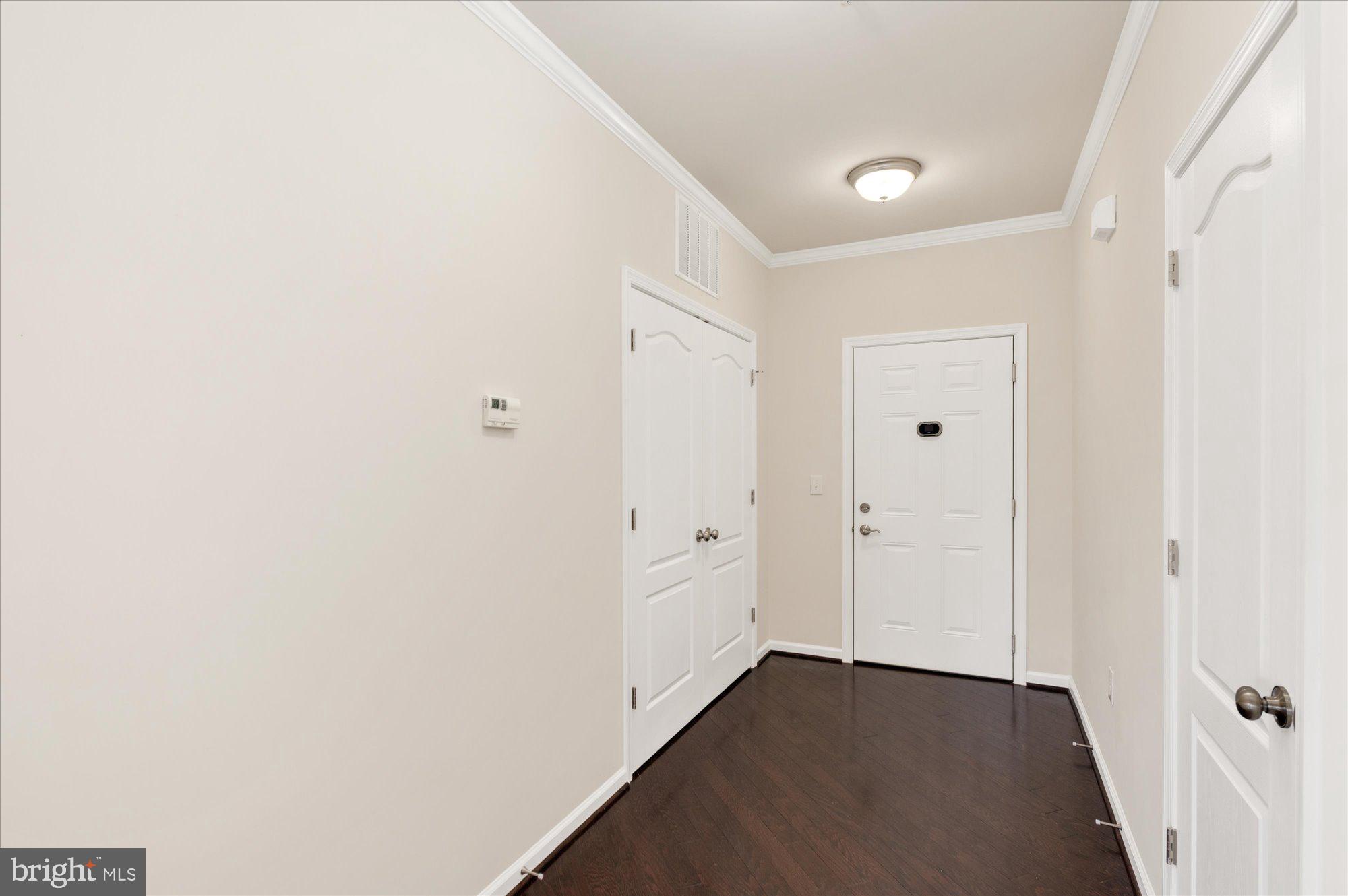 24637 WOOLLY MAMMOTH TERRACE 206