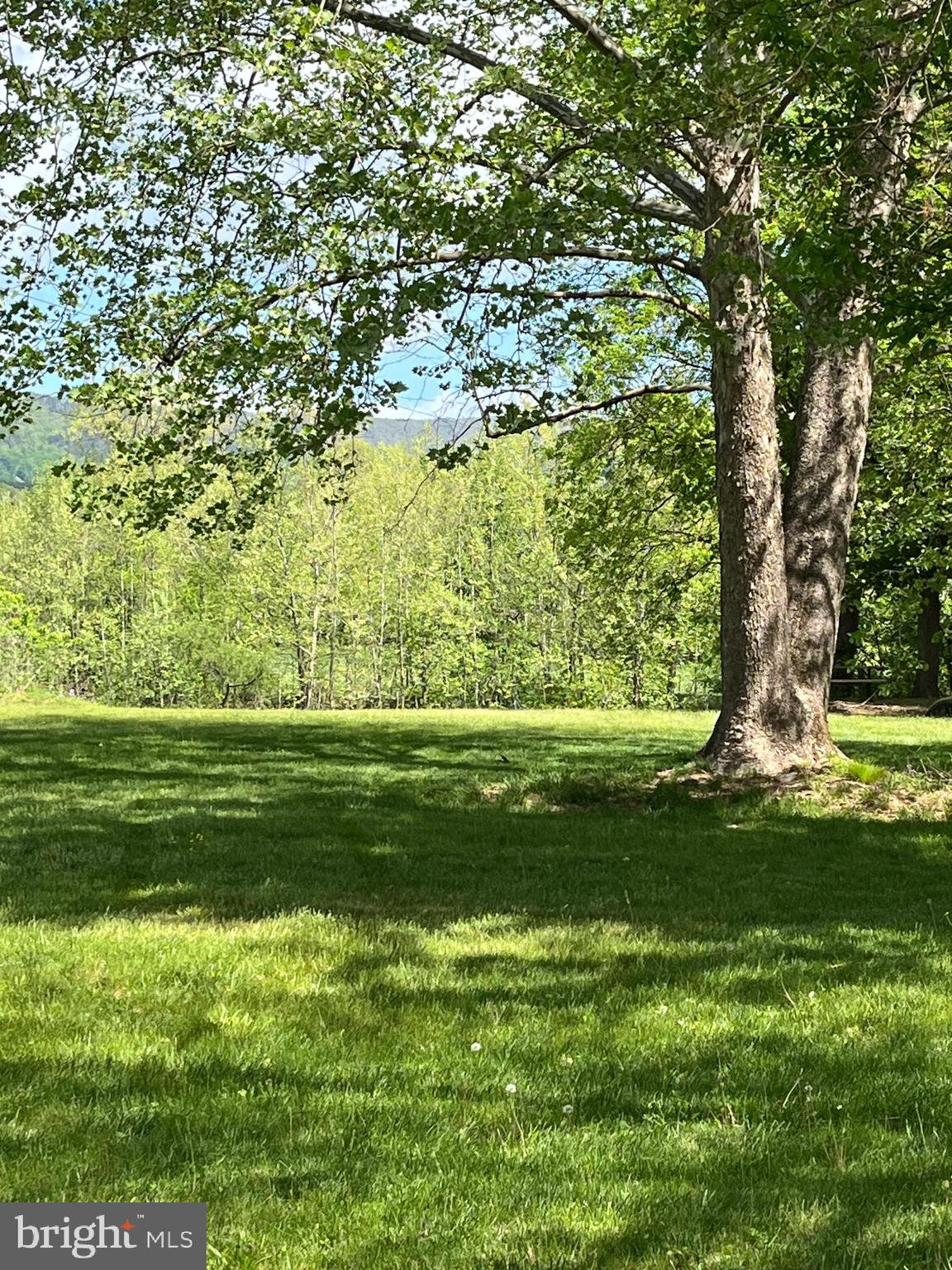 SHENANDOAH RAPIDS - Residential