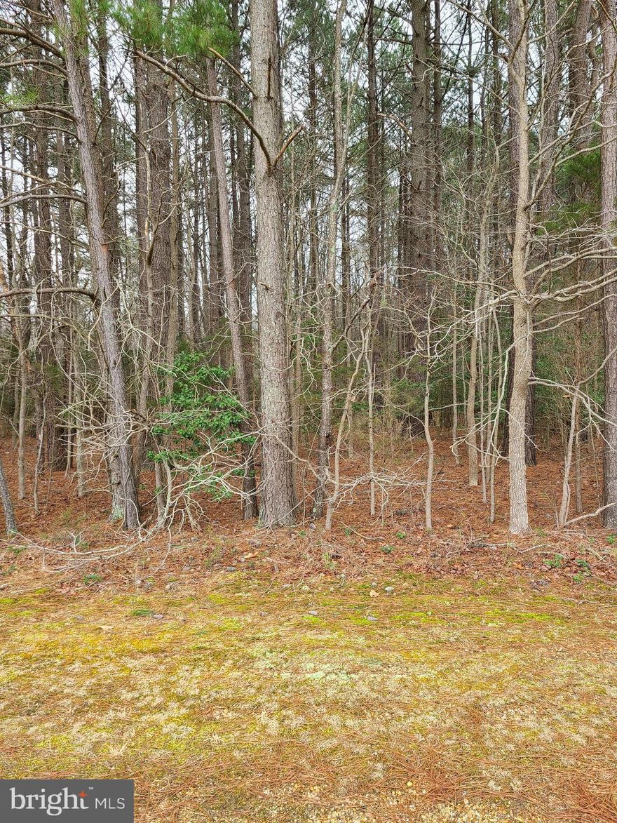 This is nearly an acre lot located in the Shea's Subdivision.  This a water front community is just off the Wicomico River.