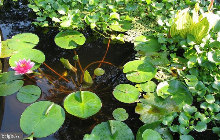 ELKRIDGE ESTATES - Residential Lease