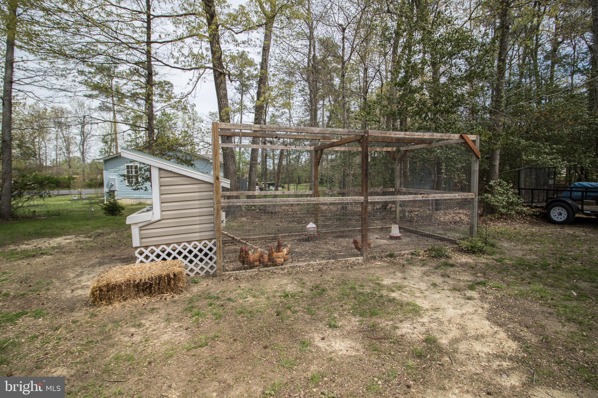 MAPLE RUN - Residential