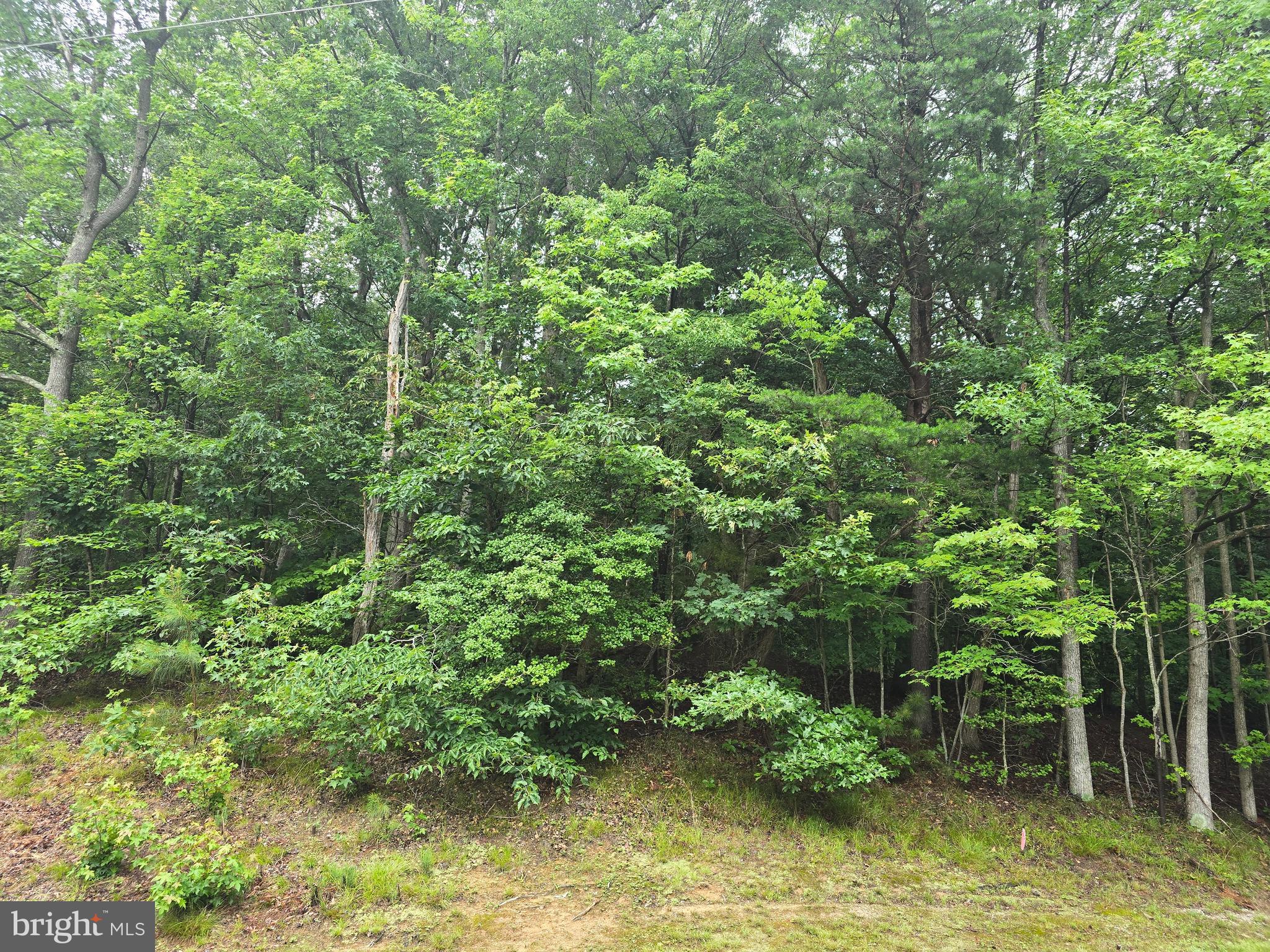 STRATFORD HARBOUR - Land