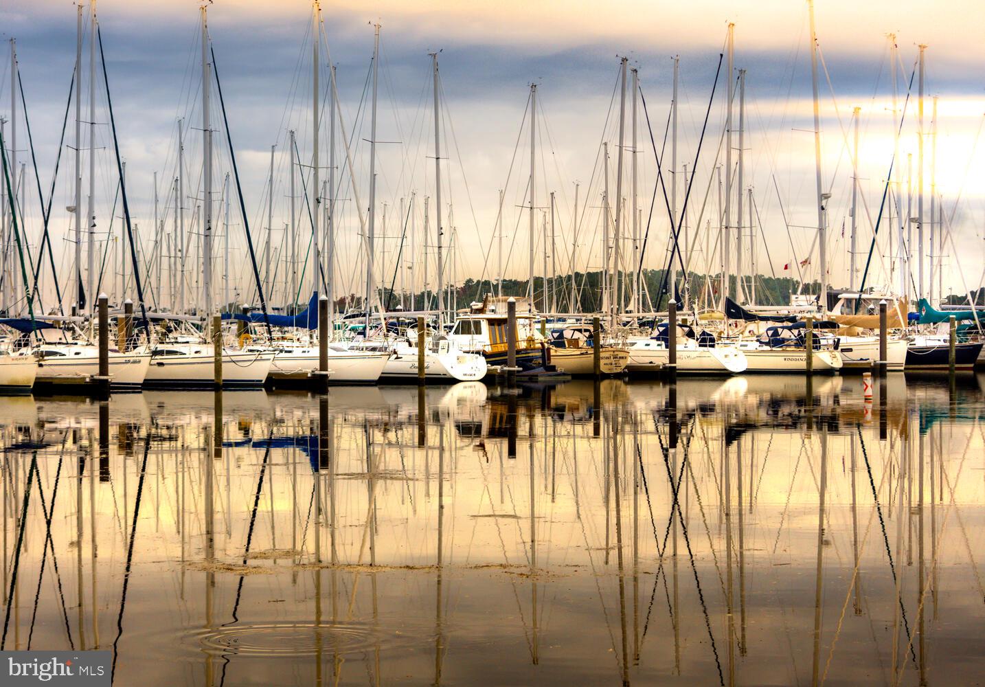 TOLCHESTER - Residential