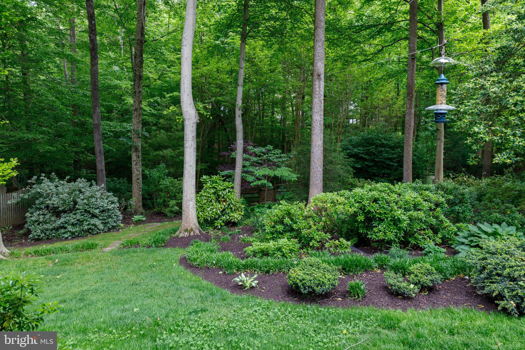 SOUTH RUN OAKS - Residential