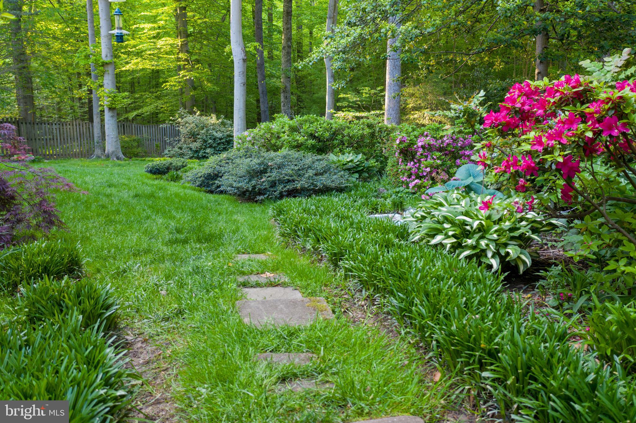 SOUTH RUN OAKS - Residential