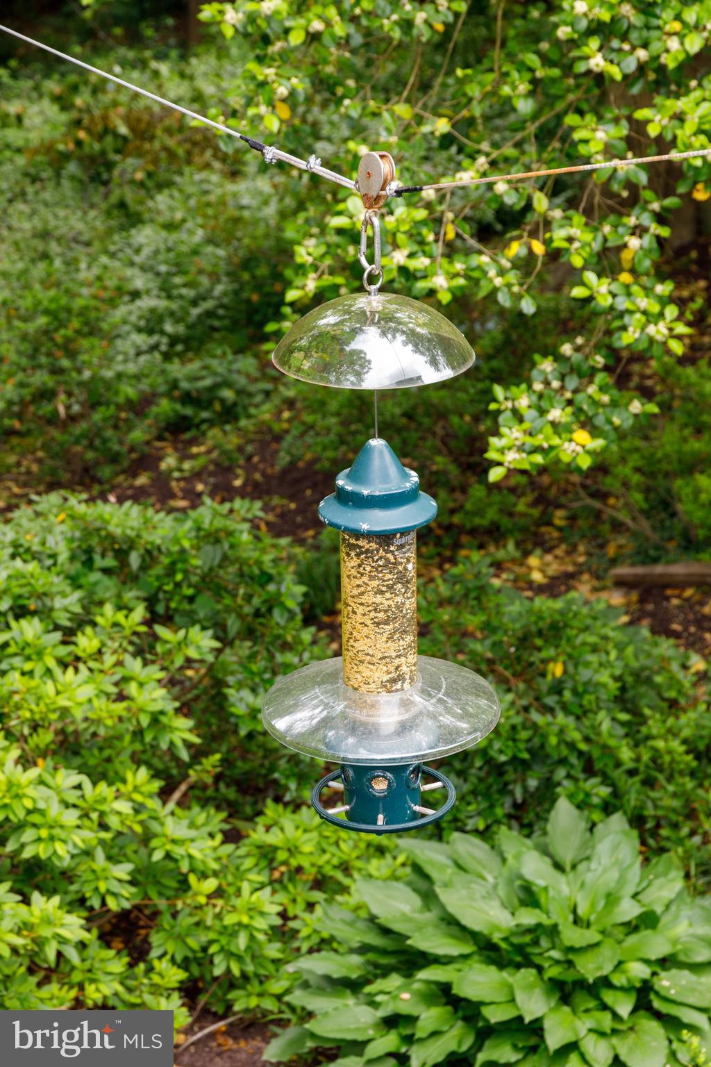 SOUTH RUN OAKS - Residential