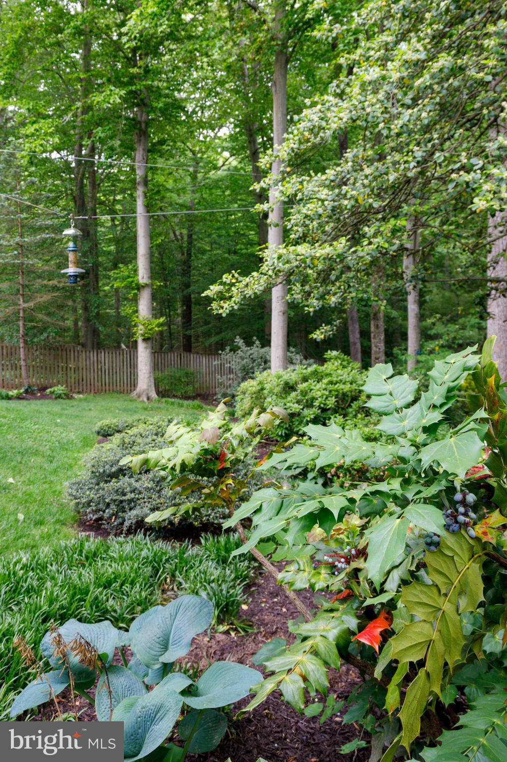 SOUTH RUN OAKS - Residential