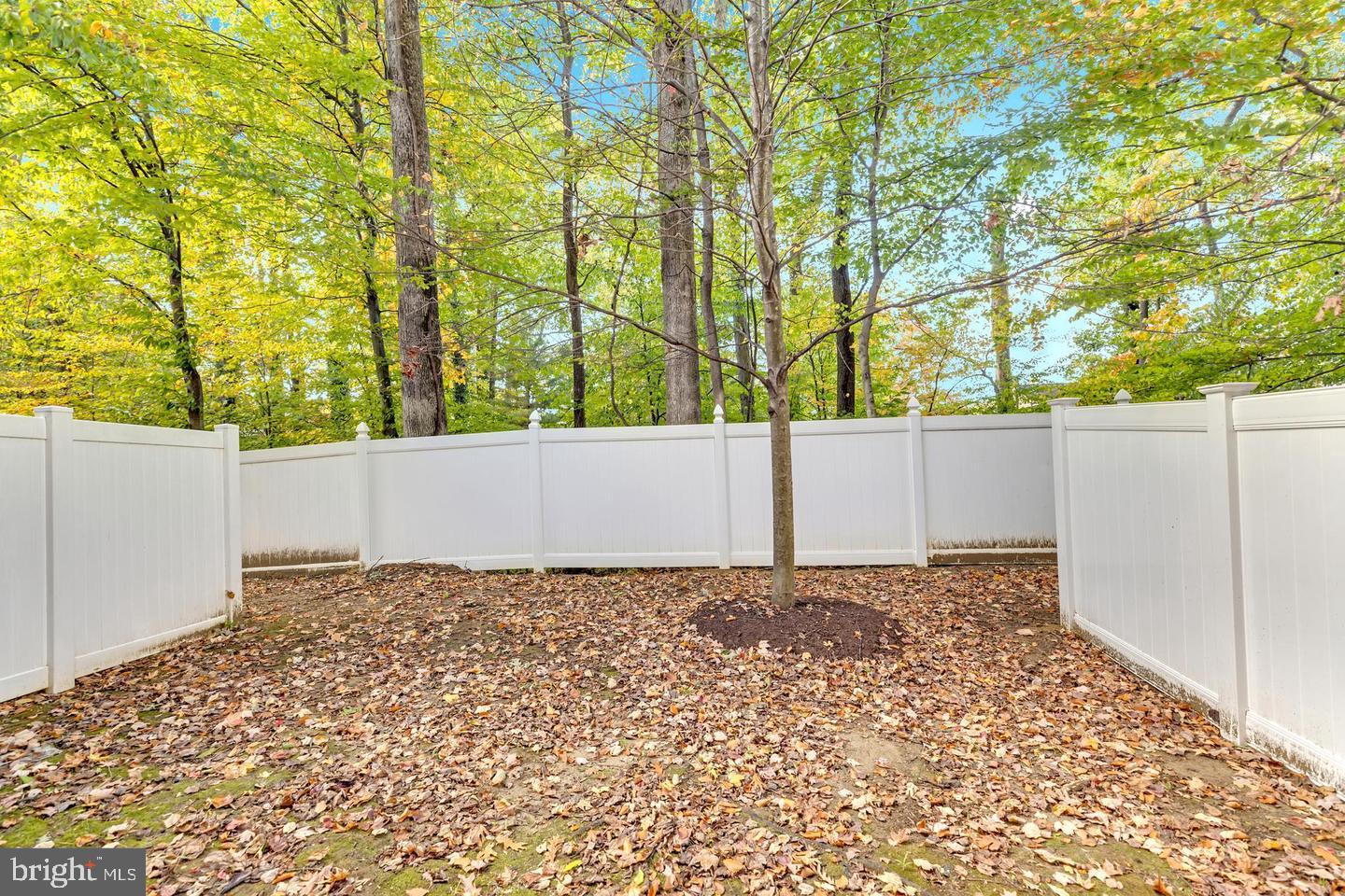 SUMMERFIELD AT MORGAN ST - Residential Lease