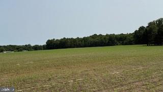 THOMPSONVILLE RD & BIG STONE BEACH RD ROAD