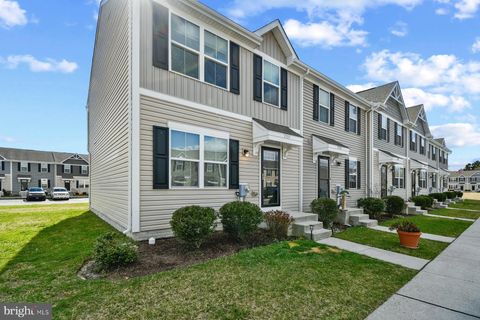 29041 SAINT THOMAS BOULEVARD MILLSBORO DE 19966