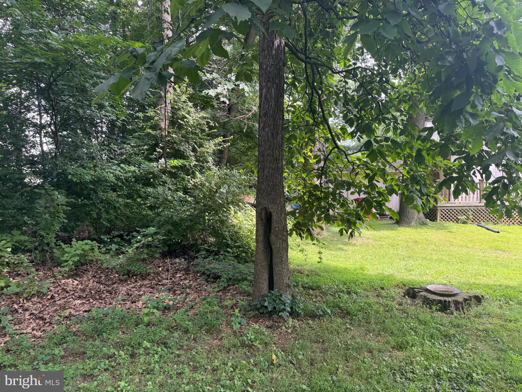 TIMBERWALK - Residential